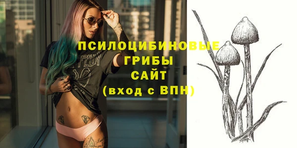 соль ск Белокуриха